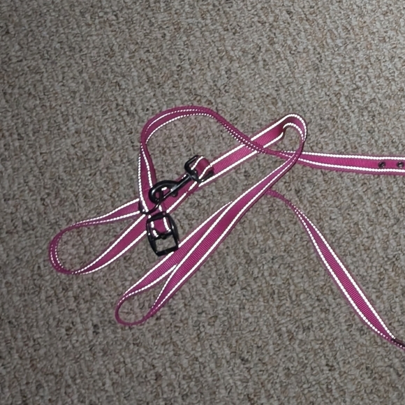 Max & Neo Dog Collar and Leash Set + Outward Hound Backpack - Picture 7 of 12